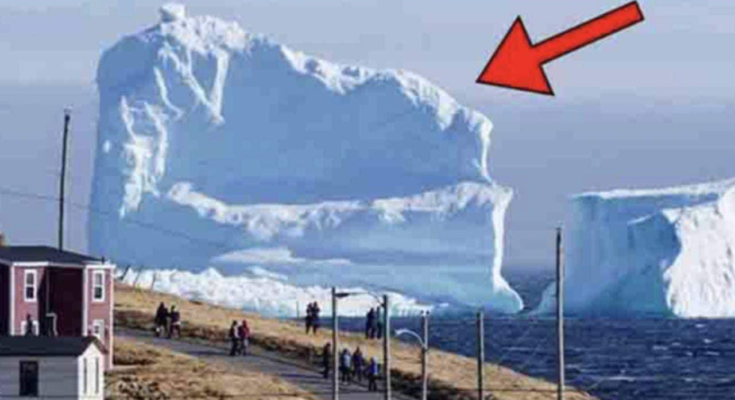 Iceberg Floats Near The Local Village. When People See What’s On It ...